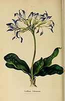  no thumbnail available