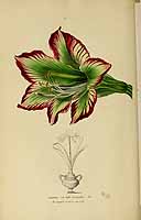  no thumbnail available