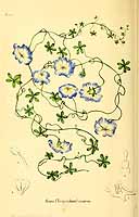  no thumbnail available