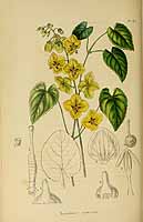  no thumbnail available