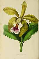  no thumbnail available