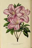  no thumbnail available