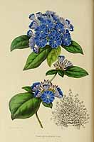  no thumbnail available