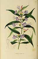  no thumbnail available