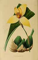  no thumbnail available