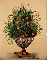  no thumbnail available