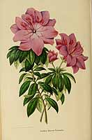  no thumbnail available