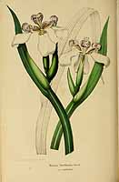  no thumbnail available