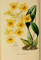  no thumbnail available