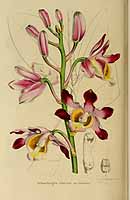  no thumbnail available