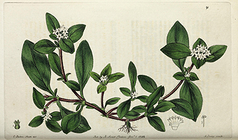  no thumbnail available