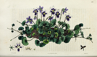  no thumbnail available