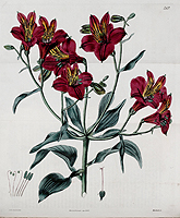  no thumbnail available