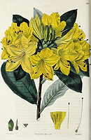  no thumbnail available