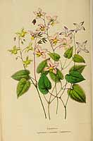  no thumbnail available