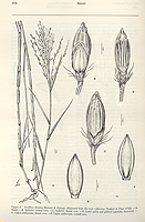  no thumbnail available