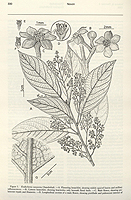  no thumbnail available