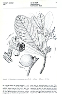  no thumbnail available