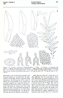  no thumbnail available