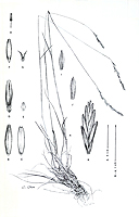  no thumbnail available