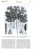  no thumbnail available