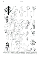  no thumbnail available