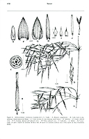  no thumbnail available