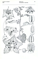  no thumbnail available