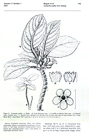  no thumbnail available