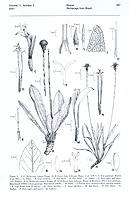  no thumbnail available