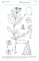  no thumbnail available