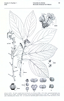  no thumbnail available