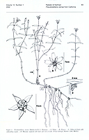  no thumbnail available