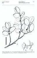  no thumbnail available