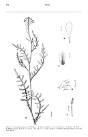  no thumbnail available