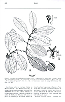  no thumbnail available