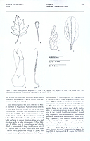  no thumbnail available