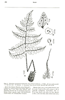  no thumbnail available