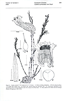  no thumbnail available