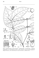  no thumbnail available