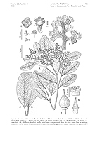  no thumbnail available