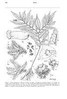  no thumbnail available