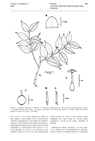  no thumbnail available