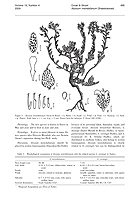  no thumbnail available