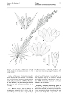  no thumbnail available