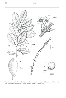  no thumbnail available