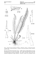  no thumbnail available