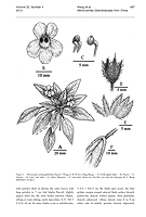  no thumbnail available