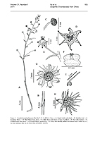  no thumbnail available