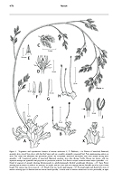  no thumbnail available